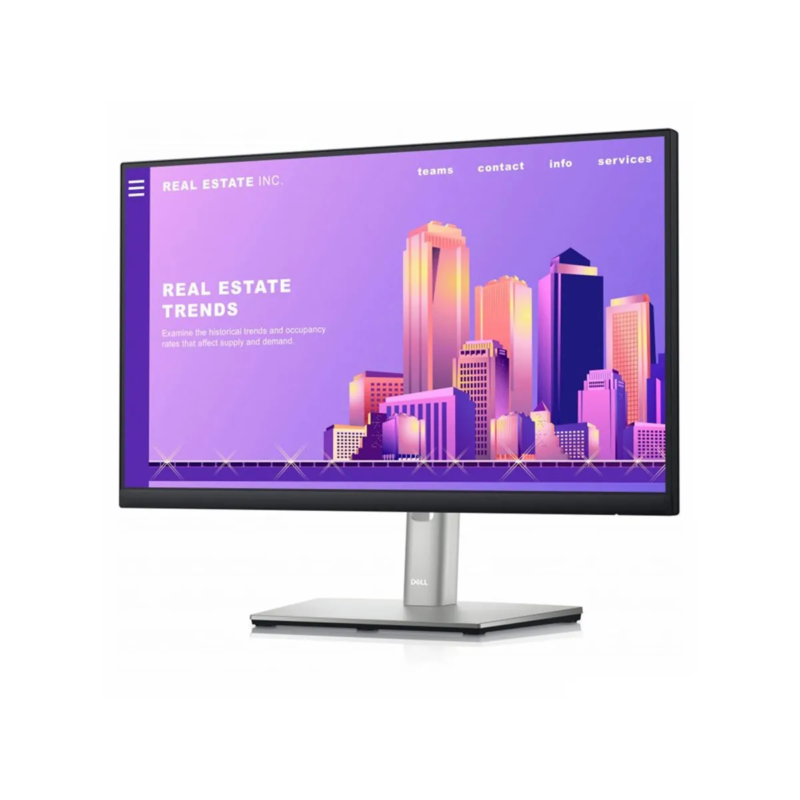 Écran Dell 24” Full Hd (P2422H)