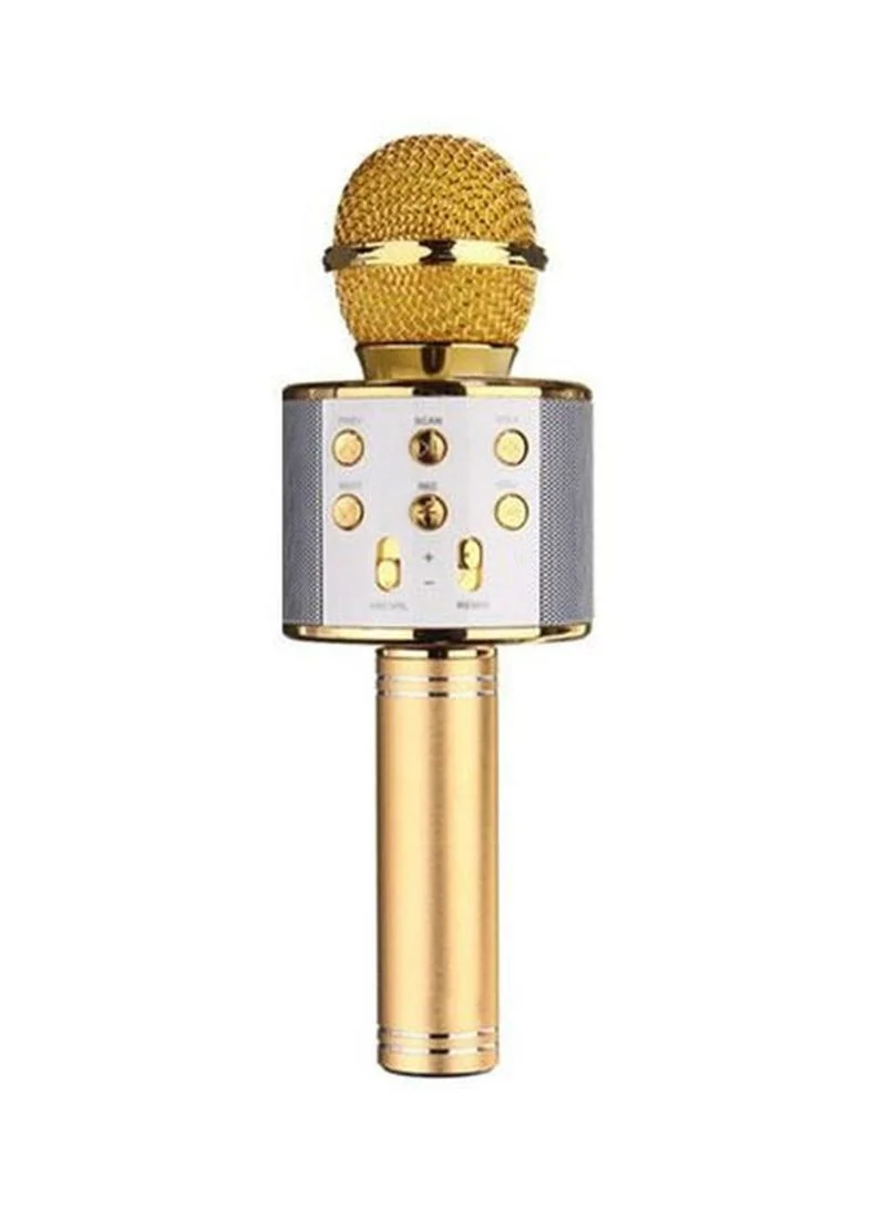Microphone Karaoké ZBX-818 – Best Buy Tunisie