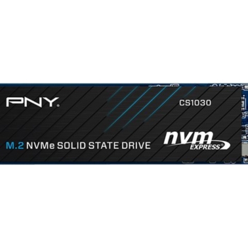 Disque SSD PNY CS1030 250Go