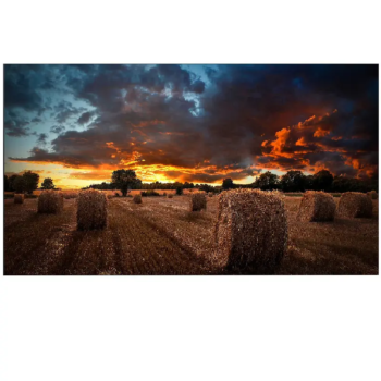 Ecran Samsung VM46B 46"