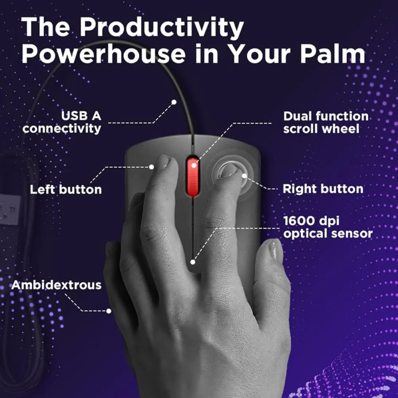 Souris Lenovo 120