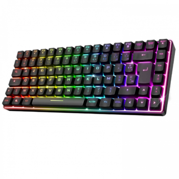 Clavier Spirit of Gamer Elite K70